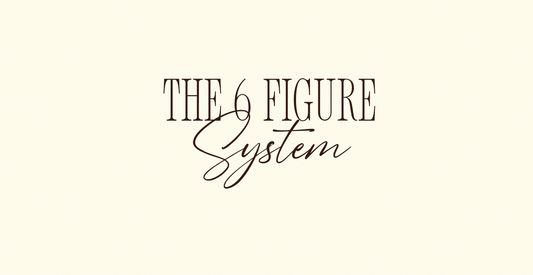 The 6 Figure System